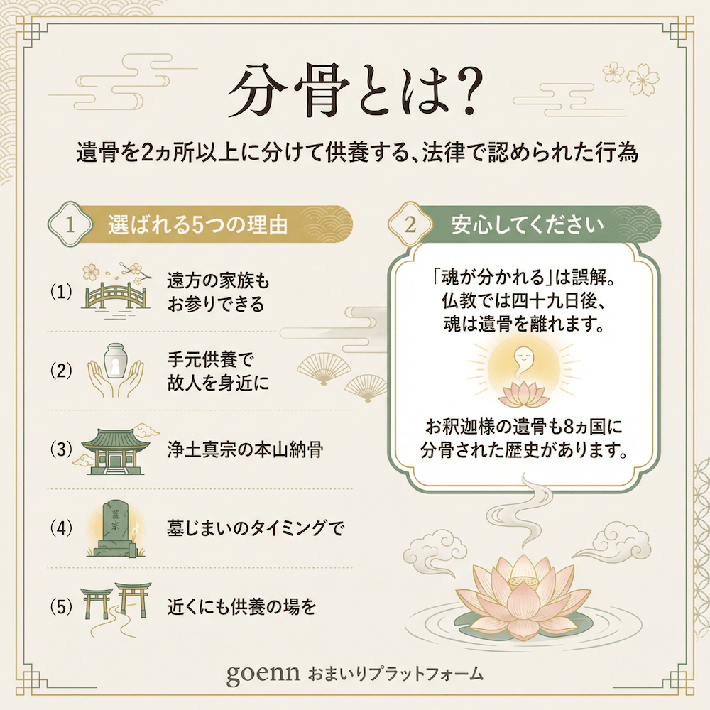 分骨とは？の図解